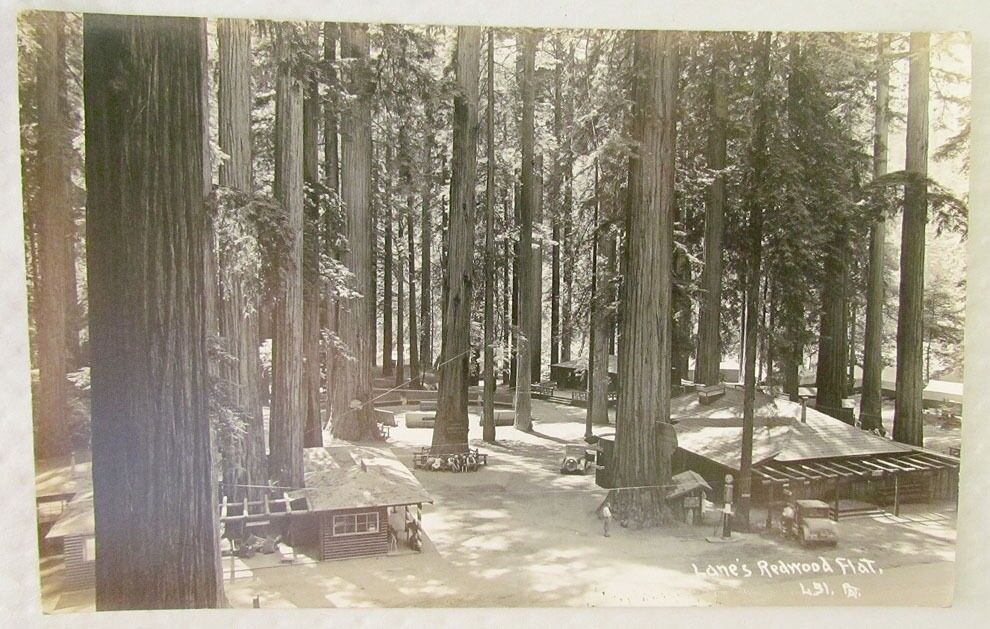 LANE'S REDWOOD FLAT CALIFORNIA VINTAGE REAL PHOTO POSTCARD RPPC