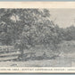 LEBANON NJ SWIMMING AREA BAPTIST CONFERENCE CENTER ANTIQUE POSTCARD