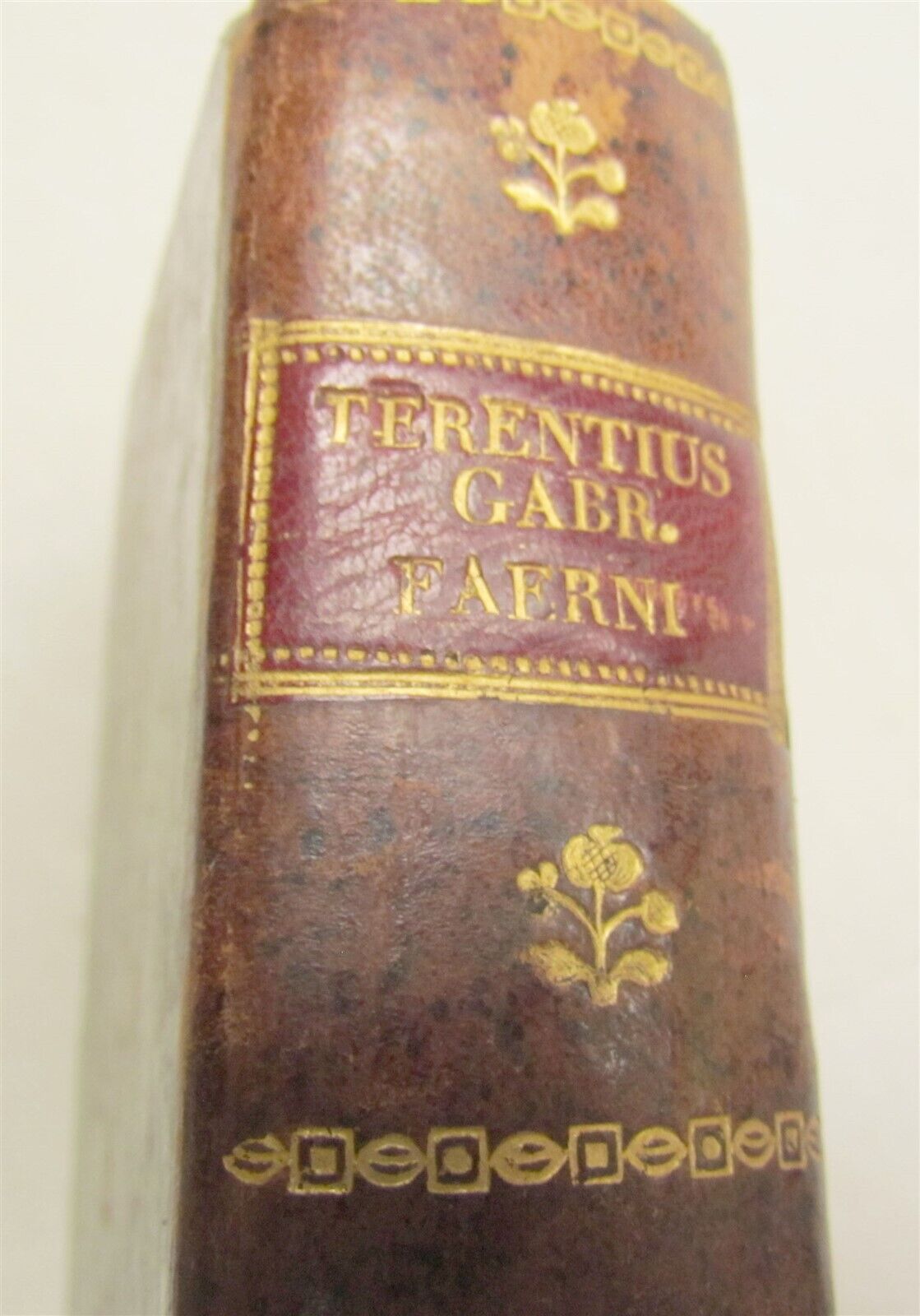 1565 TERENCE COMEDIES POETRY antique P. Terentius Afer 16th century