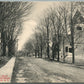 BLACK RIVER NY MAPLE STREET ANTIQUE POSTCARD