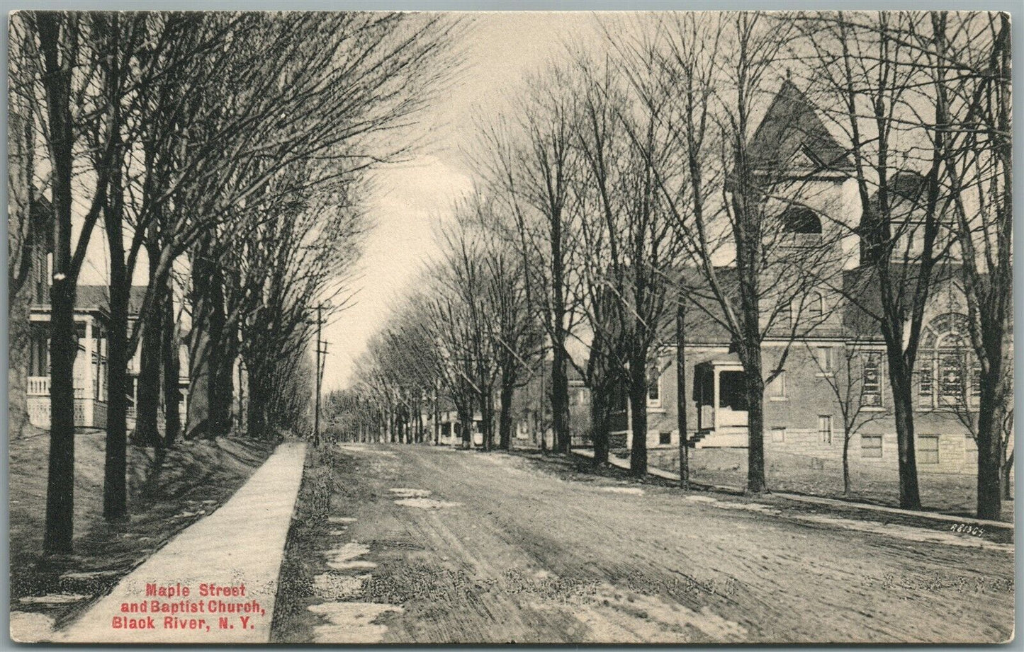 BLACK RIVER NY MAPLE STREET ANTIQUE POSTCARD