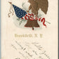 BROOKFIELD NY PATRIOTIC ANTIQUE POSTCARD