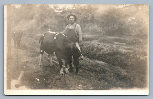 MAN w/ COW VINTAGE REAL PHOTO POSTCARD RPPC