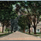 SYRACUSE NY W. ONONDAGE STREET 1908 ANTIQUE POSTCARD