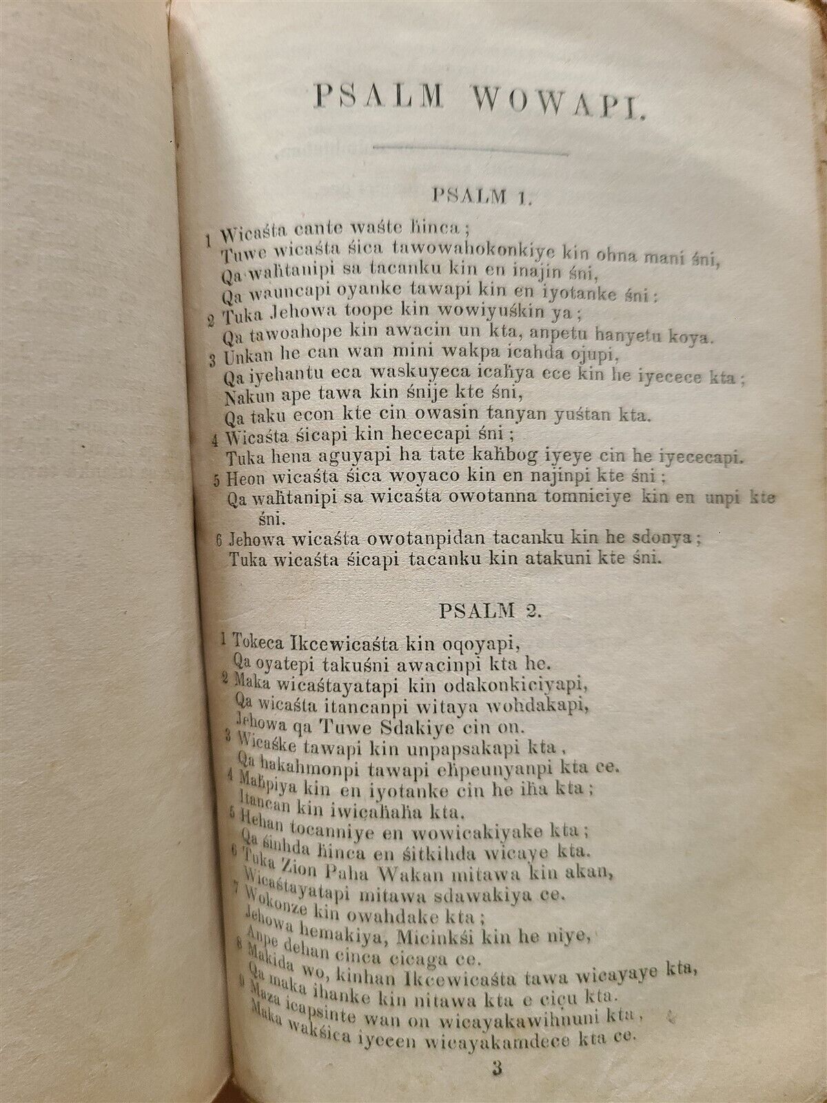 1879 BIBLE in DAKOTA LANGUAGE antique AMERICANA rare