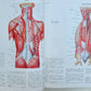 CIBA COLLECTION of MEDICAL ILLUSTRATIONS by FRANK H. NETTER reference & art book