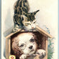 PUPPY & CAT in DOG HOUSE ANTIQUE POSTCARD