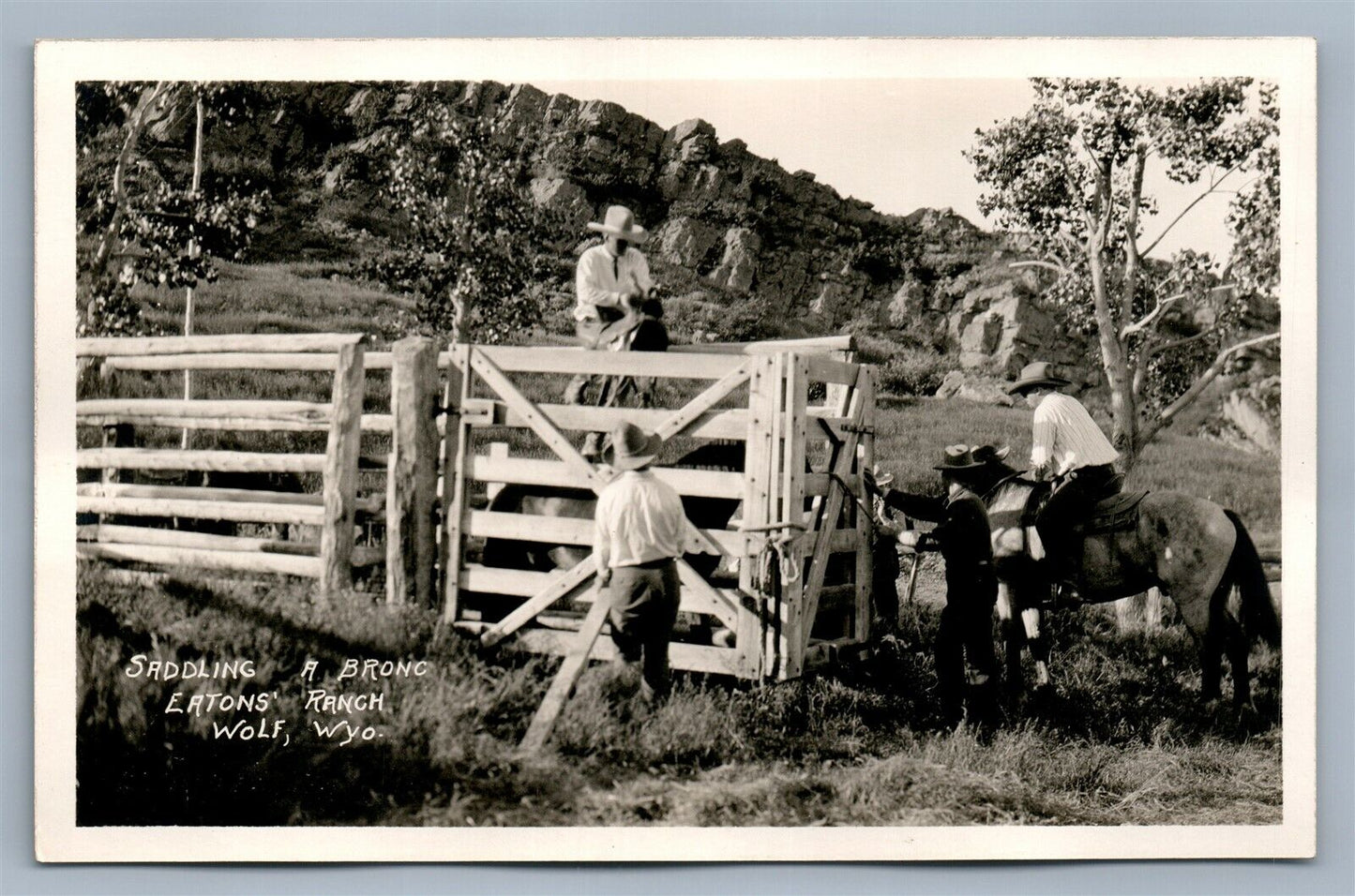 WOLF WYO EATON'S RANCH SADDLING A BRONC ANTIQUE REAL PHOTO POSTCARD RPPC