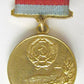 UKRAINIAN VINTAGE HONOR BADGE