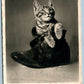 CAT IN THE BOOT ANTIQUE REAL PHOTO POSTCARD RPPC