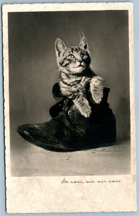 CAT IN THE BOOT ANTIQUE REAL PHOTO POSTCARD RPPC