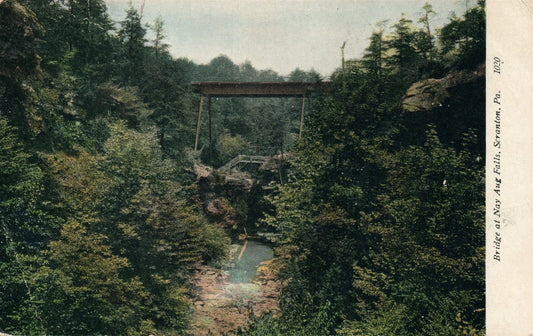 SCRANTON PA NAY AUG FALLS PARK BRIDGE ANTIQUE POSTCARD