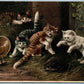 CATS & HEDGEHOG ANTIQUE POSTCARD