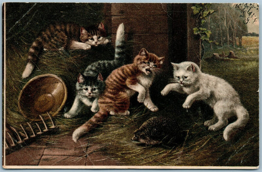 CATS & HEDGEHOG ANTIQUE POSTCARD