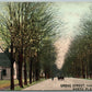 NORTH PLAINFIELD NJ GROVE STREET FROM MERCER STR. ANTIQUE POSTCARD