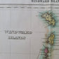 1823 MAP of WINDWARD ISLAND GEOGRAPHICAL STATISTICAL HISTORICAL antique 17.5x 22