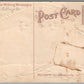 WEST PALM BEACH FL NARCISSUS STREET ALLIGATOR BORDERS ANTIQUE POSTCARD