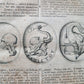 1716 ROMAN ANTIQUITIES ILLUSTRATED 3 VOLS Thesaurus Antiquitatum antique FOLIO