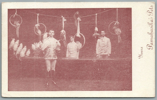 PAMAHASIKA'S PETS TRAINED PARROTS PERFORMANCE ANTIQUE POSTCARD