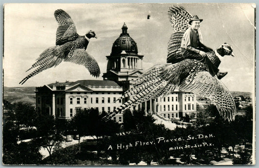 PIERRE S.DAKOTA PHEASANT FLYER VINTAGE REAL PHOTO POSTCARD RPPC collage MONTAGE