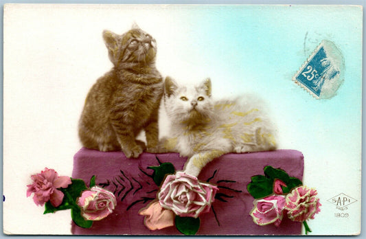 CAT w/ FLOWERS DREAMING ANTIQUE REAL PHOTO POSTCARD RPPC