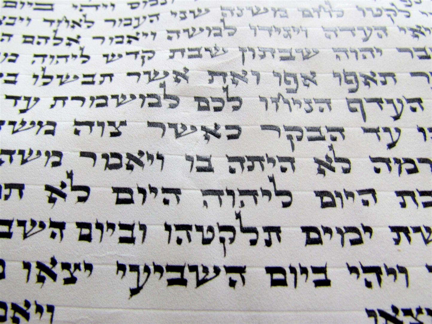 TORAH SCROLL FRAGMENT MANUSCRIPT VELLUM ANTIQUE BIBLE 14 x 17.5"