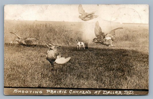 DALLAS SD SHOOTING PRAIRIE CHICKENS HUNTING ANTIQUE REAL PHOTO POSTCARD RPPC