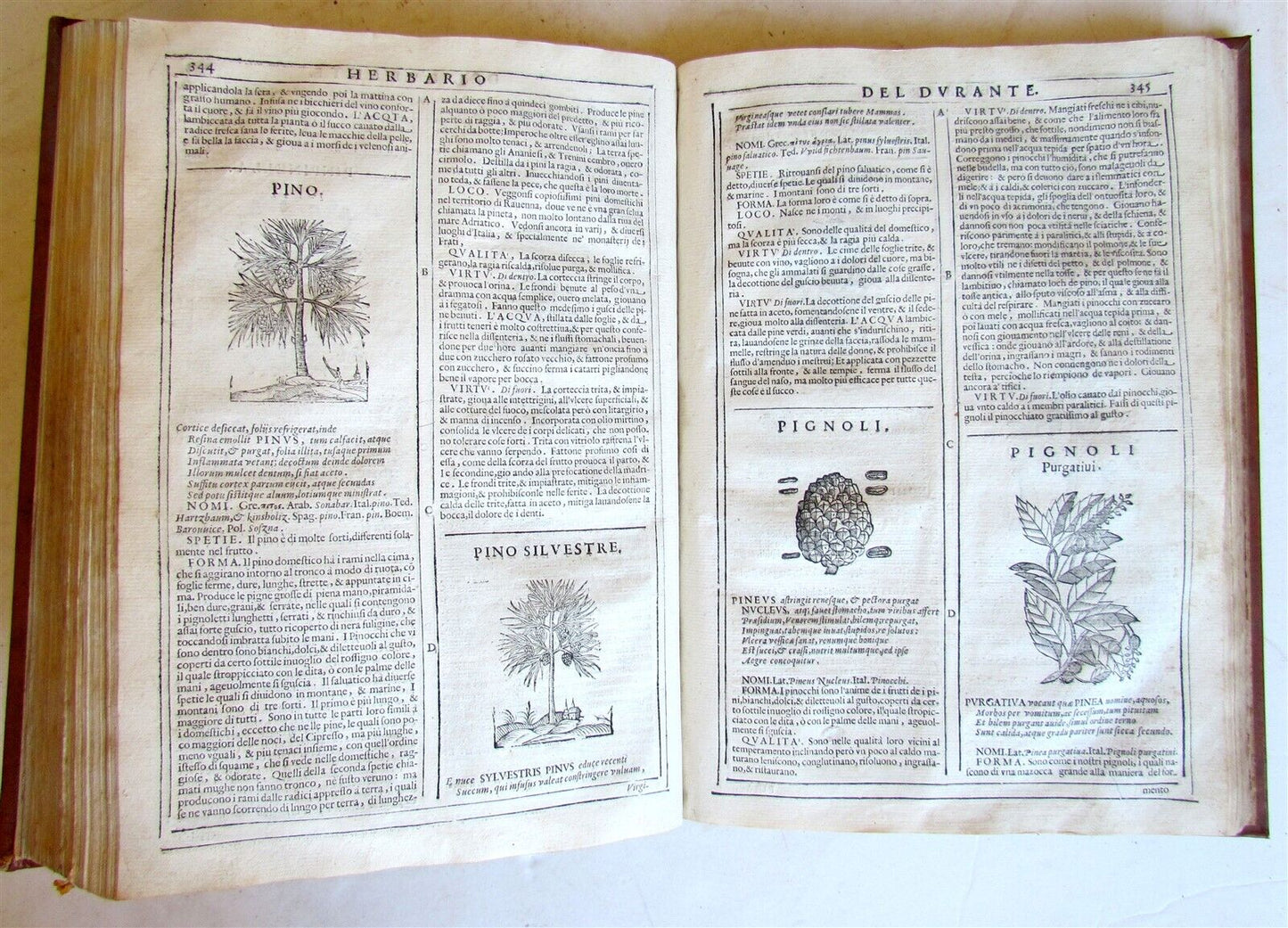 1667 HERBARIO NOVO by Castore DURANTE antique PLANTS BOTANY FULLY ILLUSTRATED