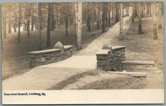 LEWISBURG PA SCENE ABOUT BUCKNELL ANTIQUE REAL PHOTO POSTCARD RPPC