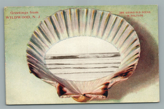 WILDWOOD NJ OCEAN IN SHELL ANTIQUE POSTCARD