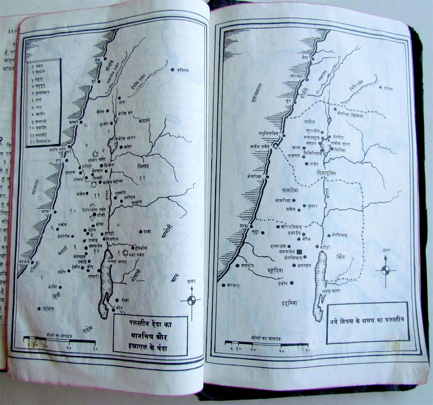 BIBLE in HINDI VINTAGE INDIAN OLD & NEW TESTAMENT illustrated w/ maps