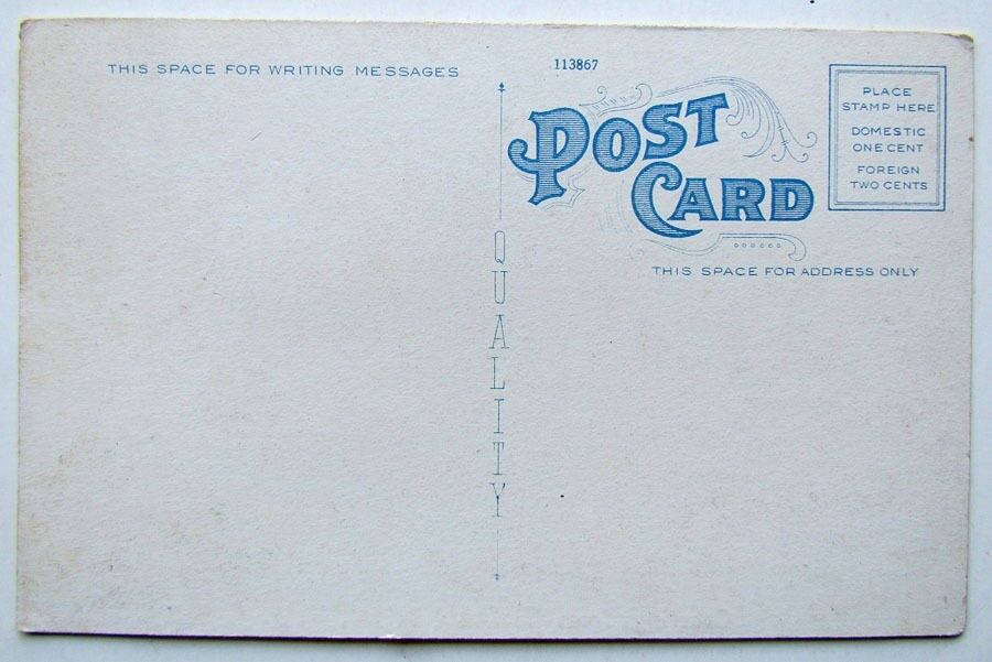 VINTAGE POSTCARD GREETINGS FROM CEDAR RUN N.J.