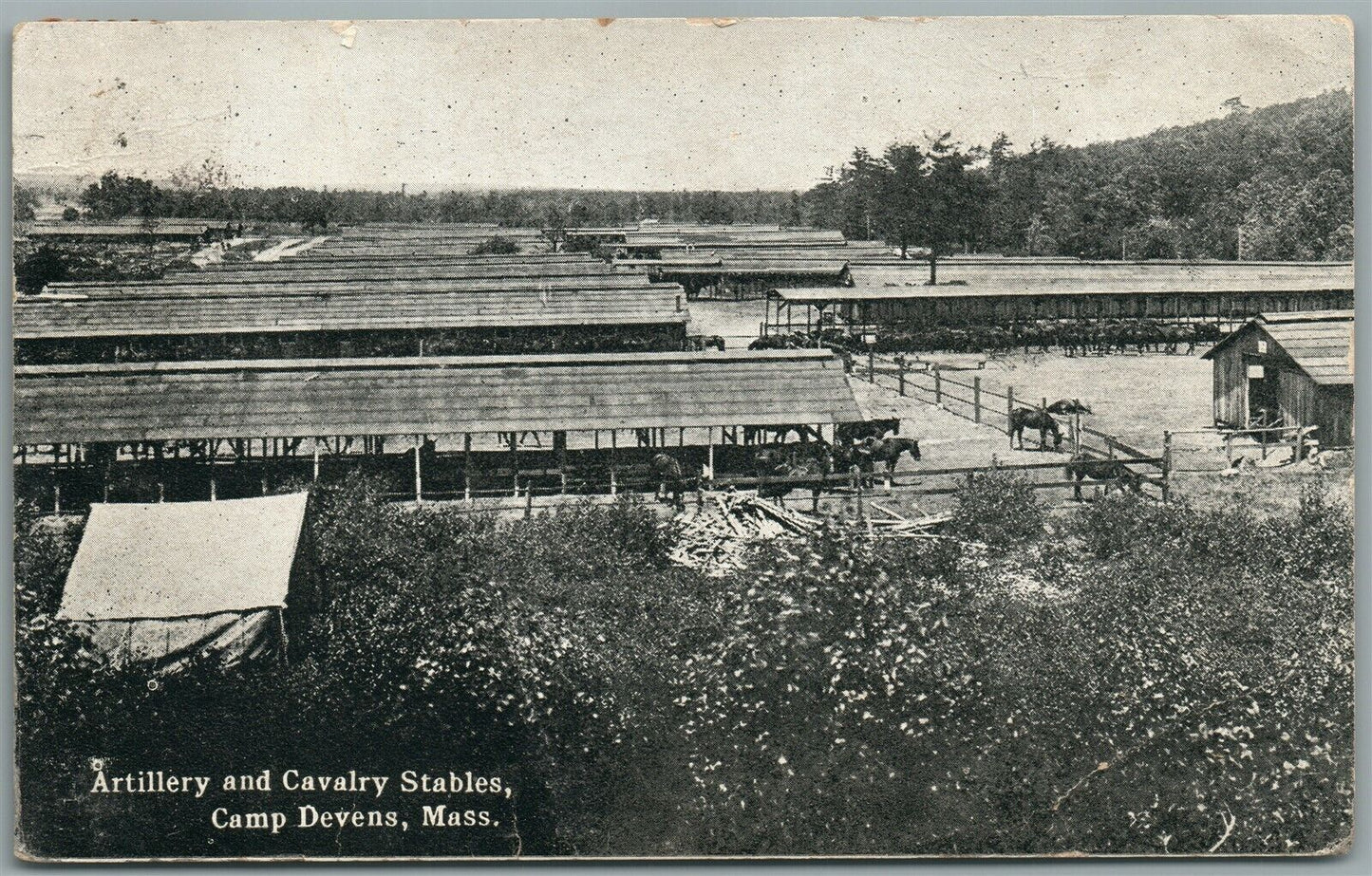 CAMP DEVENS MA ARTILLERY & CAVALRY STABLES ANTIQUE POSTCARD