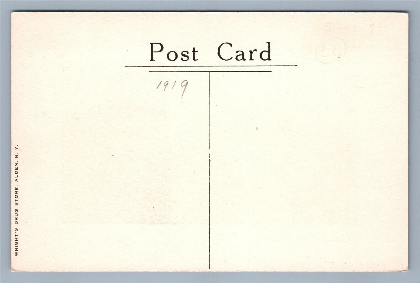 ALDEN NY PARK HOTEL ANTIQUE POSTCARD