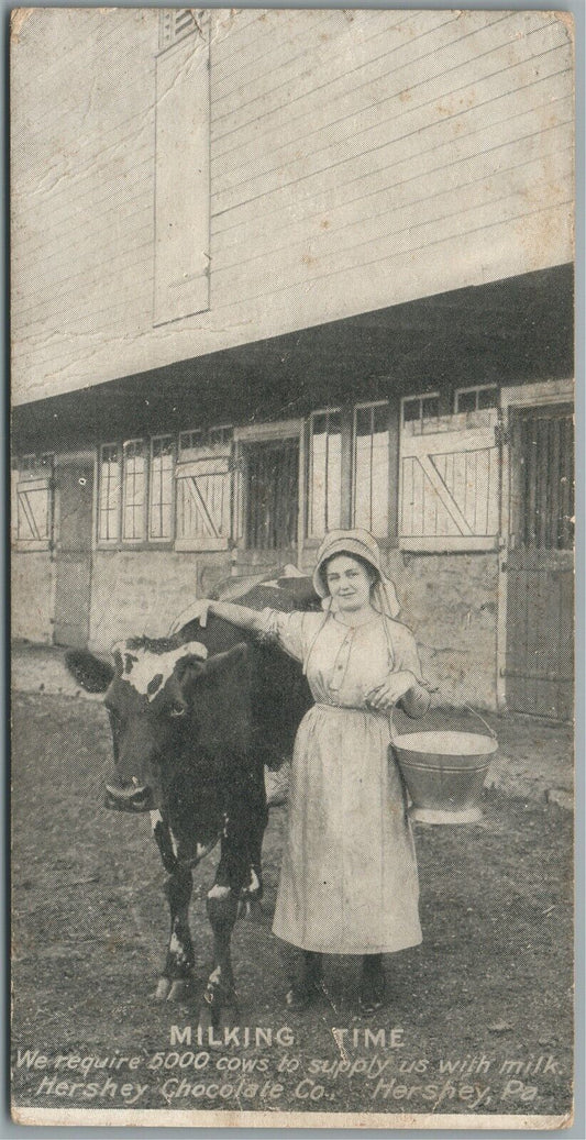 HERSHEY CHOCOLATE CO. MILKING TIME ANTIQUE POSTCARD