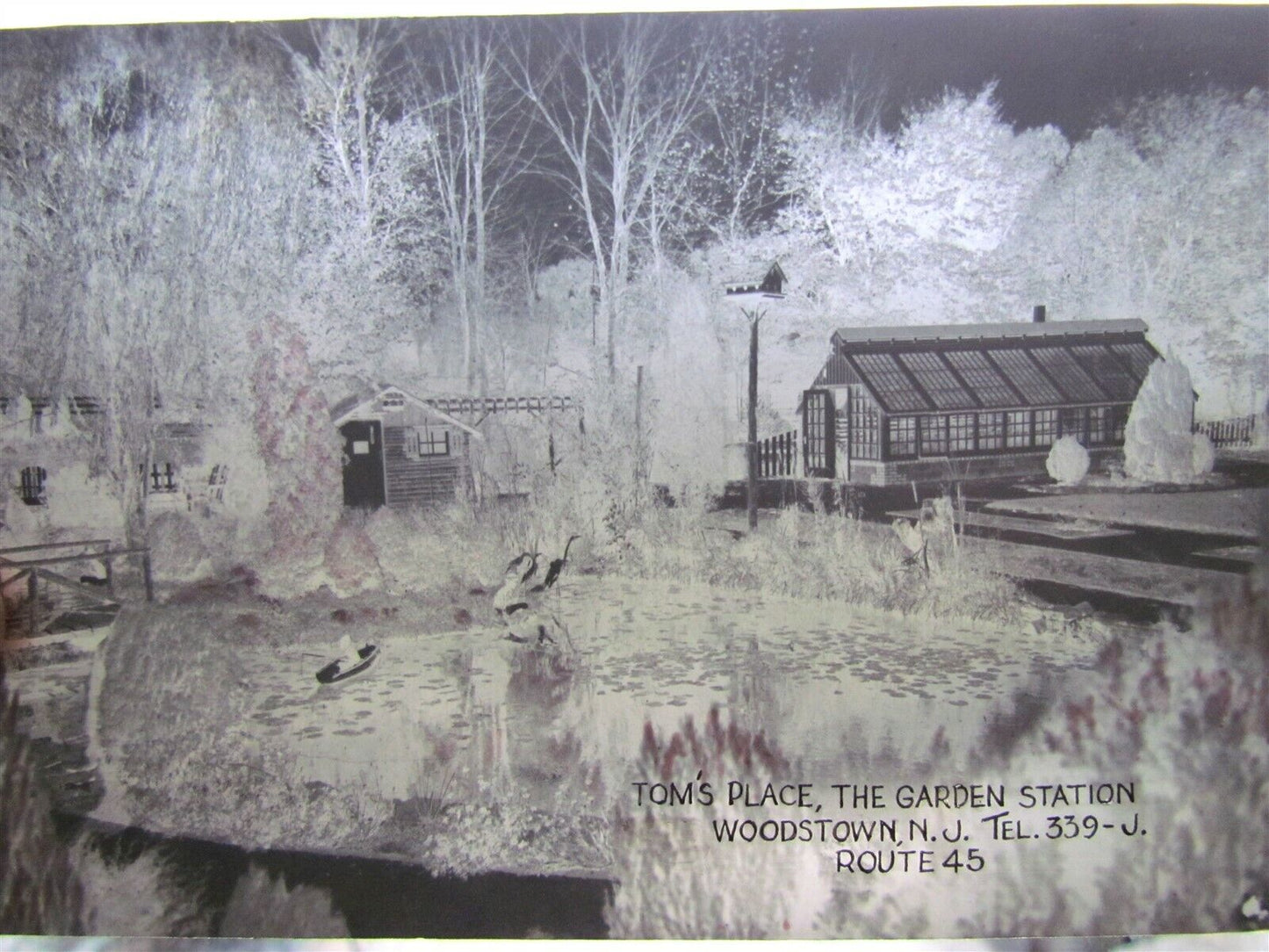 WOODSTOWN NJ TOMS PLAYS GARDEN STATION VINTAGE POSTCARD w/ ORIGINAL NEGATIVE