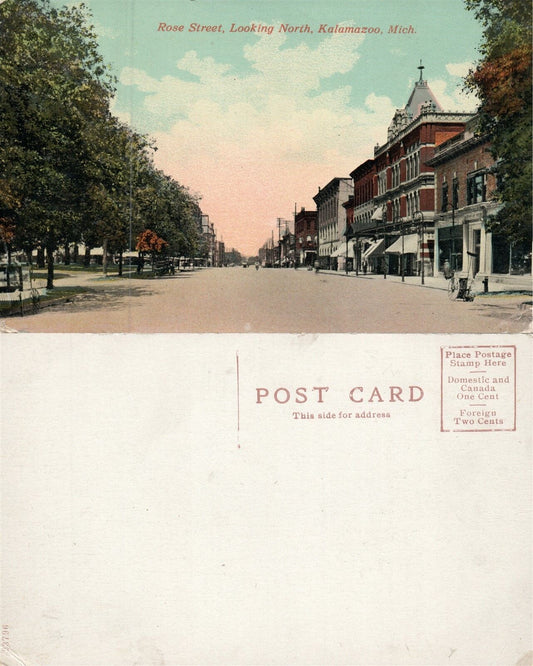 KALAMAZOO MI ROSE STREET ANTIQUE POSTCARD