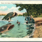 EXAGGERATED FISHING 1928 ANTIQUE POSTCARD