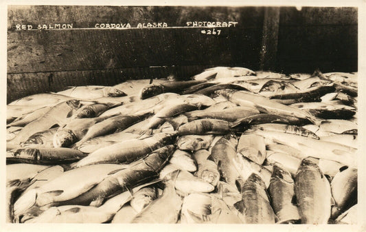 CORDOVA ALASKA RED SALMON FISHING VINTAGE REAL PHOTO POSTCARD RPPC