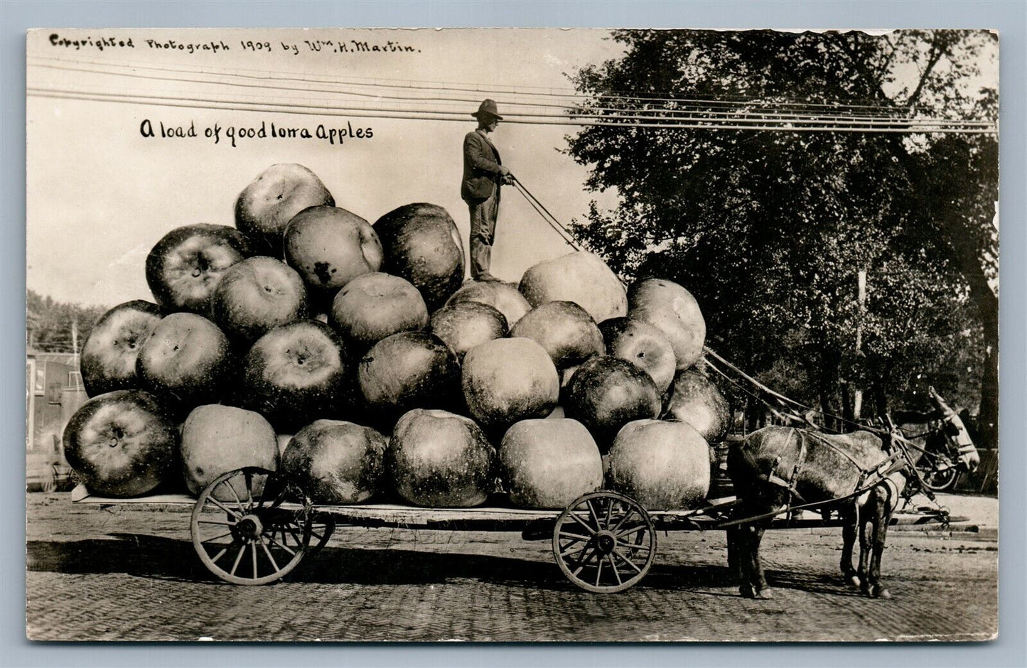 EXAGGERATED IOWA APPLES ANTIQUE REAL PHOTO POSTCARD RPPC