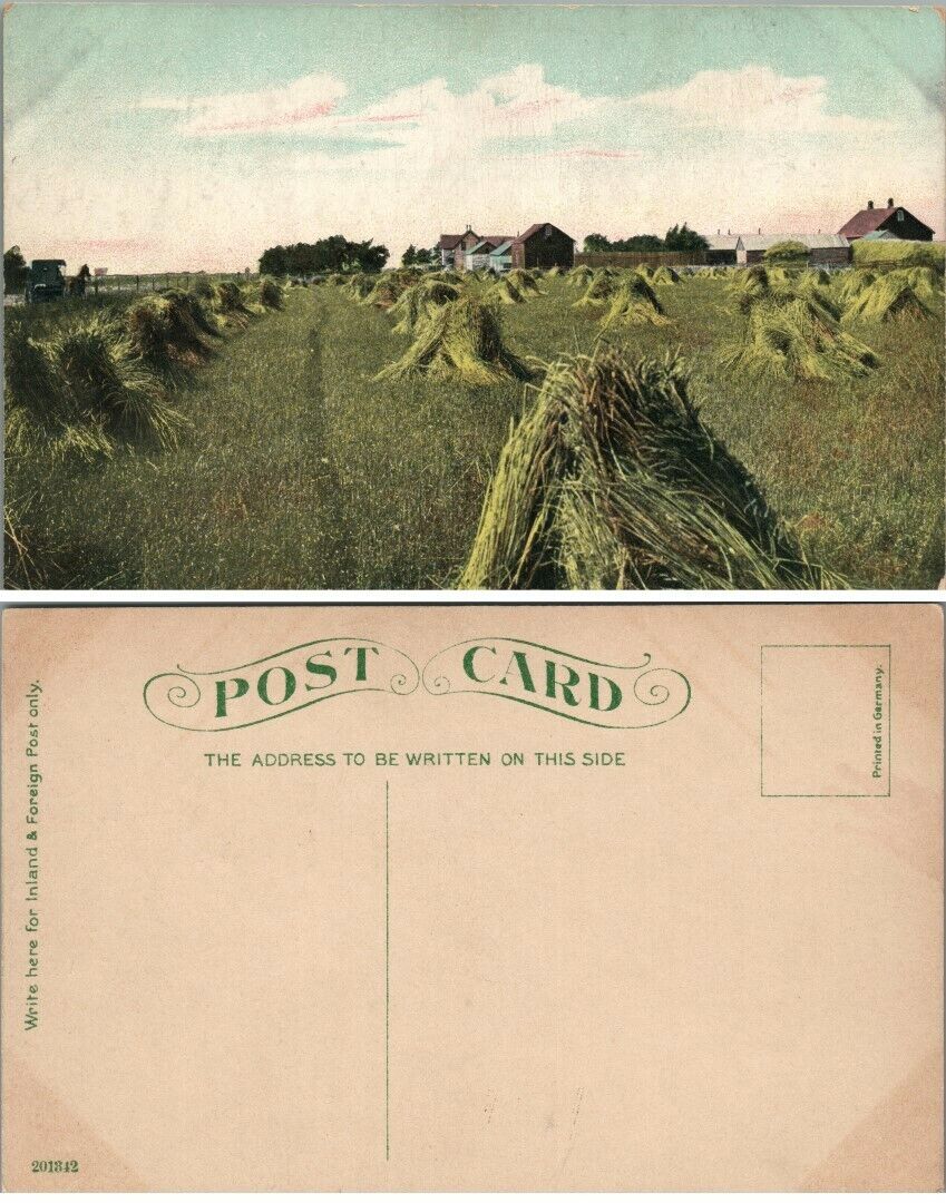 FARM SCENE UNUSED ANTIQUE POSTCARD