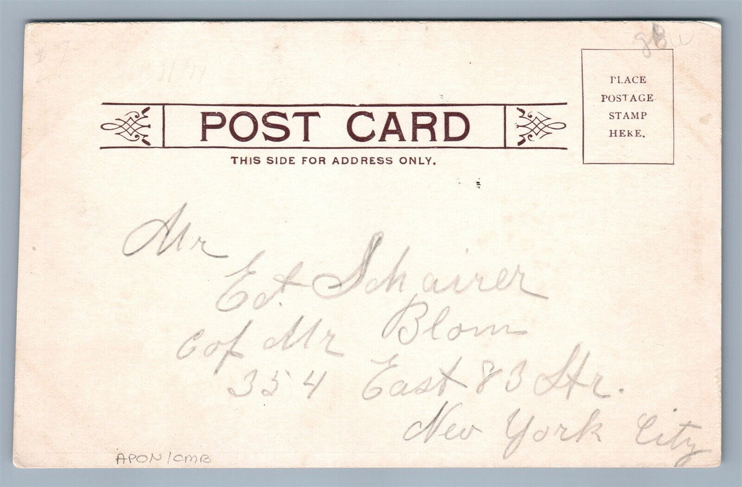 SHEEPSHEADBAY LONG ISLAND NY COTTAGES UNDIVIDED ANTIQUE POSTCARD