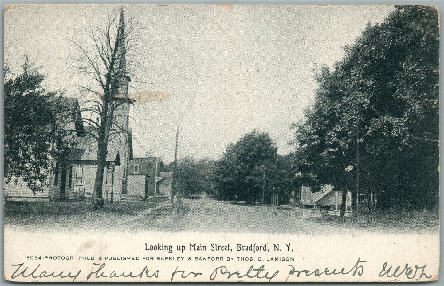 BRADFORD NY MAIN STREET ANTIQUE POSTCARD