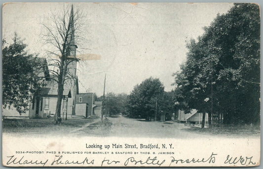 BRADFORD NY MAIN STREET ANTIQUE POSTCARD