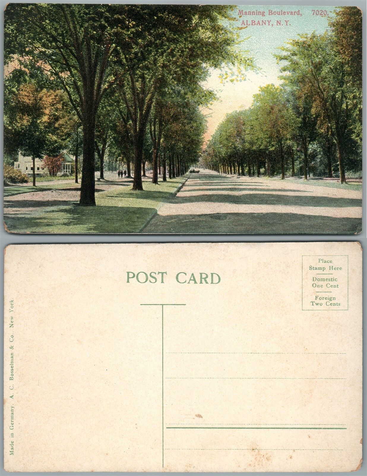ALBANY N.Y. MANNING BOULEVARD ANTIQUE POSTCARD