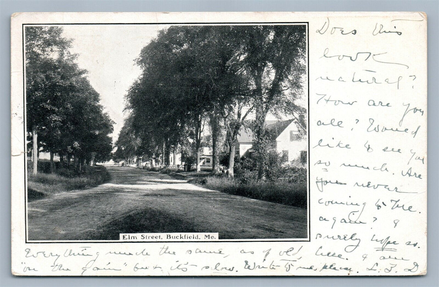 BUCKFIELD ME ELM STREET ANTIQUE POSTCARD
