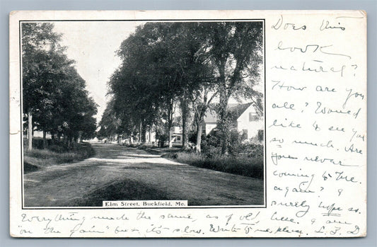 BUCKFIELD ME ELM STREET ANTIQUE POSTCARD