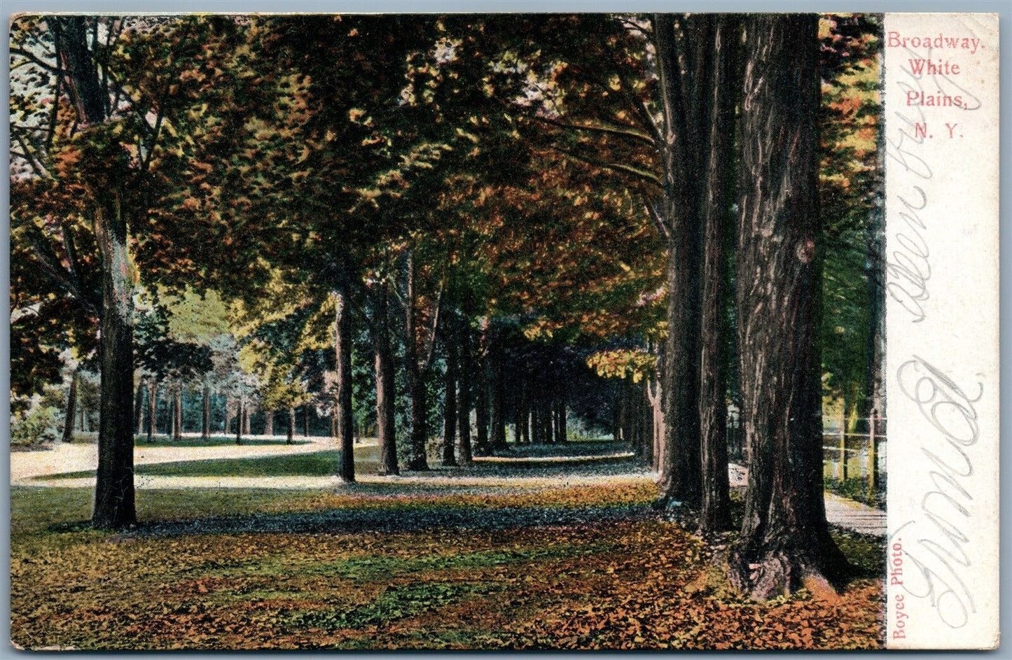 WHITE PLAINS NY BROADWAY 1907 UNDIVIDED ANTIQUE POSTCARD