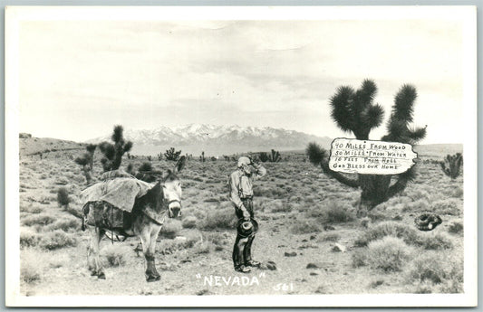 NEVADA DESERT VINTAGE REAL PHOTO POSTCARD RPPC PHOTOMONTAGE DONKEY