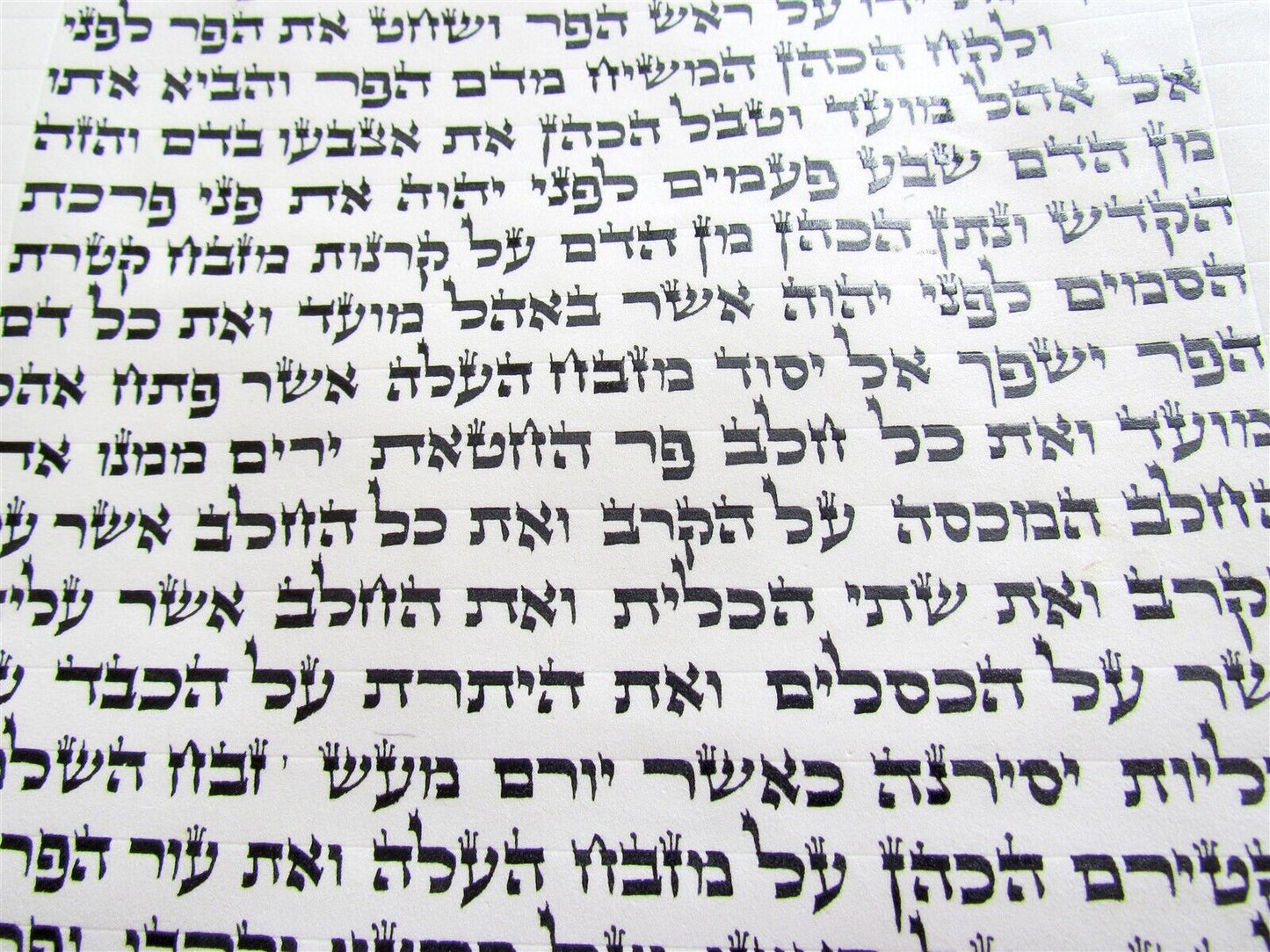 TORAH SCROLL FRAGMENT MANUSCRIPT VELLUM ANTIQUE BIBLE 21.5 x 18.5"